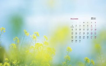 12月主题活动方案7篇