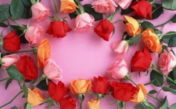 饭店520活动方案6篇