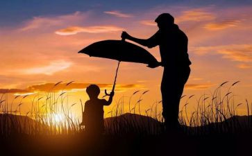 爸爸的花儿落了,读后感8篇