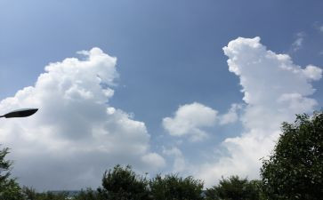 青田的变化作文最新6篇