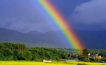 彩虹糖幼儿园教案5篇