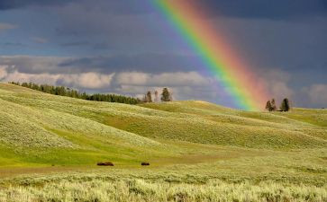 彩虹糖幼儿教案7篇