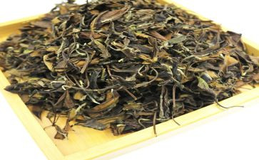 关于茶的心得优质8篇