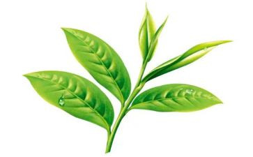 做茶壶心得6篇
