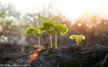 成长心得作文最新8篇