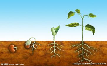 成长心得体会模板8篇