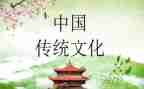 传统文化小学生作文8篇