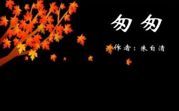 读后感匆匆读后感通用7篇