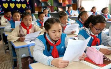 调查报告作文错别字5篇