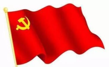 党年终总结5篇