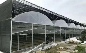 大棚合同优质8篇