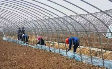 大棚合同最新5篇
