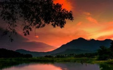 记忆中的定格作文参考8篇