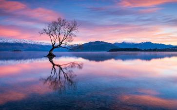 定格在记忆中的事作文模板5篇