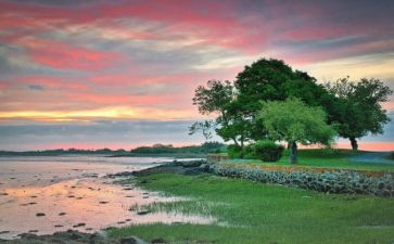 定格在记忆里的作文优质8篇