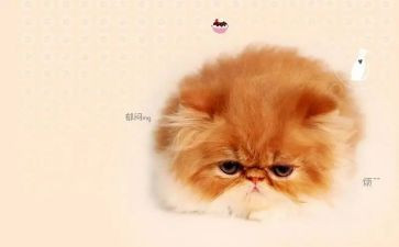 我??烦恼作文推荐8篇