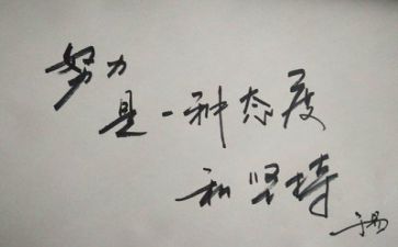 总结和反思作文推荐8篇