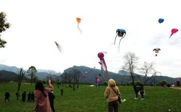 追风筝读后感500字7篇