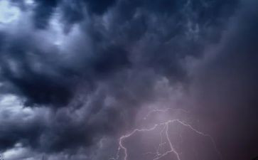 在风雨中作文通用7篇