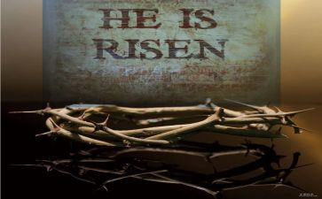 《复活》作文模板8篇