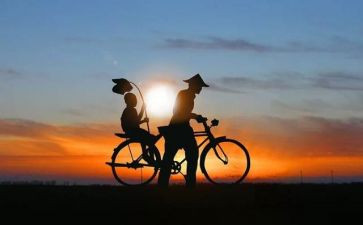 读后感父亲的爱读后感5篇