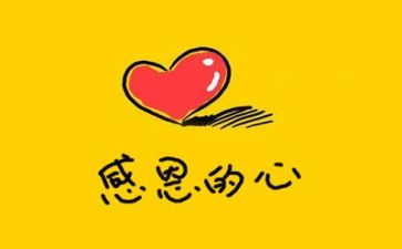 公司感恩活动方案8篇