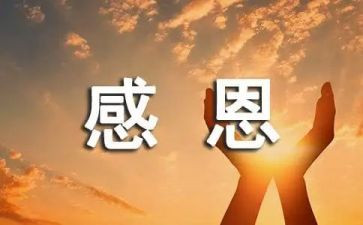 关于感恩的心演讲稿模板8篇