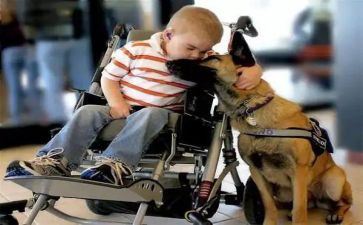 初中感人的作文5篇