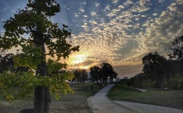 告别??的作文精选6篇