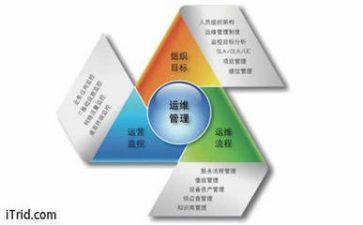 自我管理的作文8篇