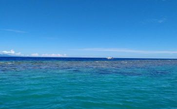 大鱼海棠的观后感8篇