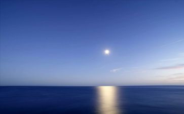 爱上海作文优秀7篇