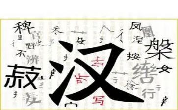 写汉字的调查报告通用6篇