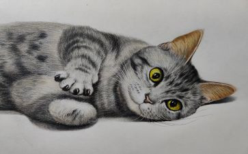 古诗《画》幼儿园教案6篇