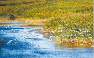 环境专业自我鉴定7篇