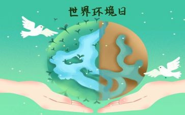 学校6.5环境日活动总结7篇