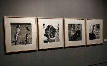 书画展活动方案7篇