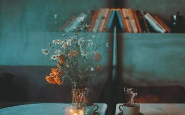 回忆校园的生活作文8篇