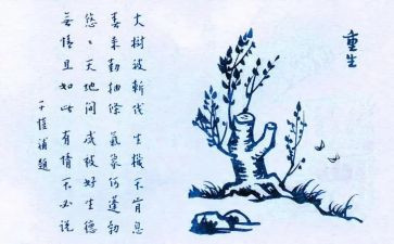 保护生态的作文800字8篇