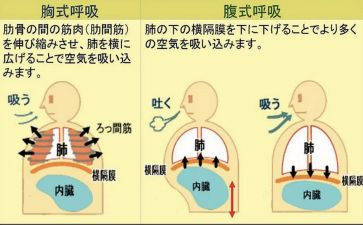 呼吸内科自我鉴定精选6篇
