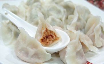 幼儿园饺子宴活动方案优质8篇