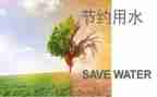 环保节约演讲稿最新8篇