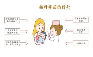 接种室个人总结6篇