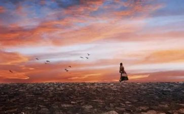 经历类的作文7篇