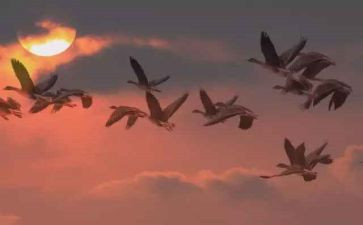 幼儿园大班九月工作总结8篇