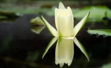 苦难历程读后感6篇