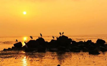 我的苦难,我的大学读后感8篇