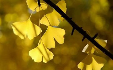 苦难高中作文优质5篇