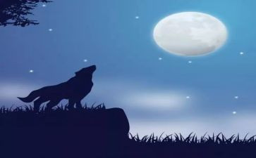 《狼王梦》读后感500字作文7篇(《狼王梦》：狼群中的领袖与勇气
《狼王梦》：勇往直前，成就非凡
《狼王梦》：狼群中的领袖与团结力量
《狼王梦》：勇敢追寻，成就自我
《狼王梦》：狼群中的领袖与智慧谋略
《狼王梦》：勇气与毅力的故事
《狼王梦》：狼群中的领袖与坚韧精神)