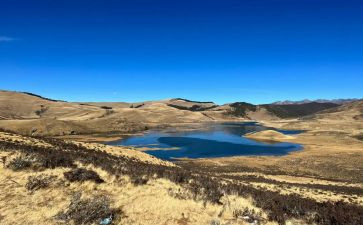 《飞向蓝天的恐龙》教案最新5篇